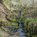 Alport Castles