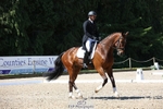 365-BWE_NEWTON_DE_JASPER-Adam_Harvey-WEDTrotUp+DR portfolio