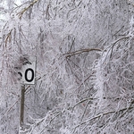Over the Speed Limit