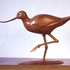 Avocet