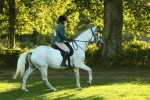 SBM_56404