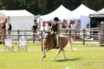 SBM_13598
