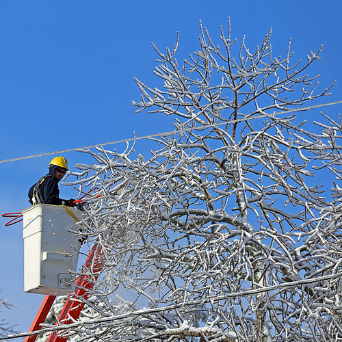 All potentially endangering tree limbs were being trimmed back to prevent further damage & outages.