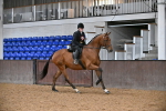 SBM_003074