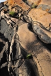 GeorgianBay11-027