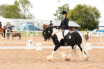 SBM_01634