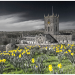 St Davids Cathedral Dylan Harries 3rd PDI