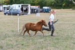 WJ6_6886