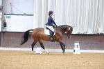 SBM_000331
