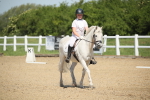 SBM_008705