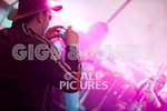 Greenman_Music-333