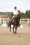 SBM_009056