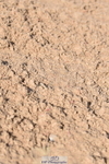 231015A-122144-07964