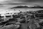 arps13-Cappagh