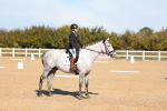 SBM_001531