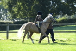 SBM_36824