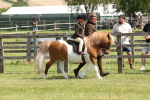 SBM_05218