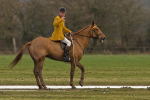 Berkley Hunt  No 1