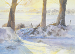 'Bathed in Light'