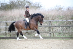 SBM_006336