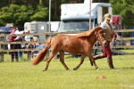 SBM_02444