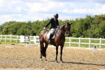 SBM_002231