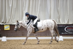 SBM_016446