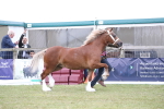 SBM_09761