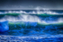 DSCF2678