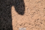 260425-120037-14957