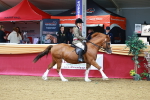 SBM_00870