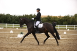 SBM_006804