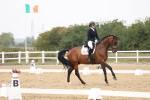 SBM_007479