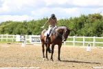 SBM_002184