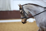 SBM_001808