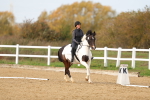 SBM_001691