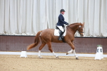 SBM_001355