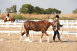 SBM_08123