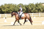 SBM_017348