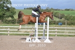 BPP_3553