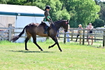 SBM_18196