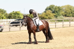SBM_001495