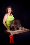 Texas Taxidermy Competition