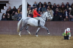 SBM_003824
