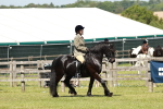 SBM_07029