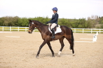 SBM_008023
