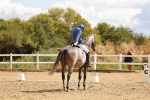 SBM_004585