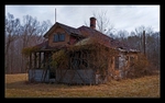 Overgrown