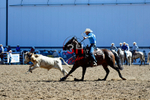 3HRodeo8-11-25_PRCASteer_00792_