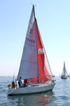 180707 NEW FLAME K4488 2F7A7724